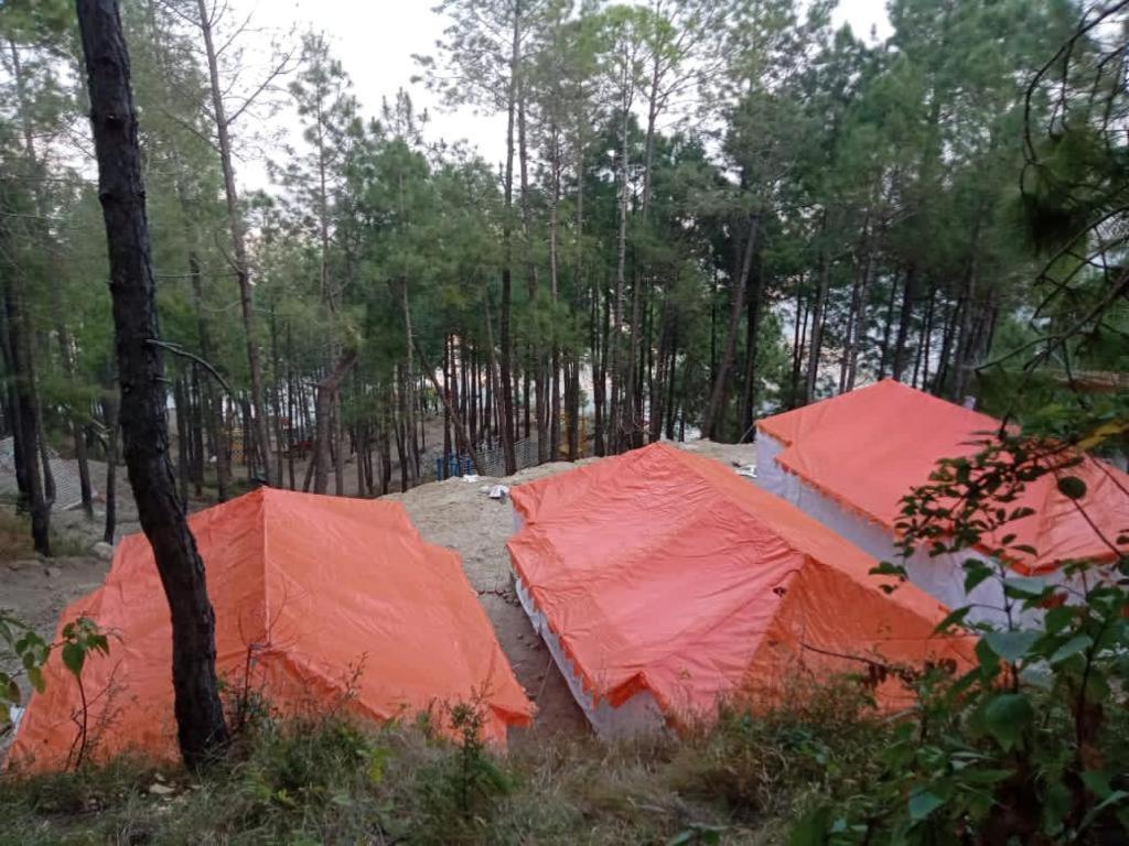 Amravati Resort Solan Exterior foto